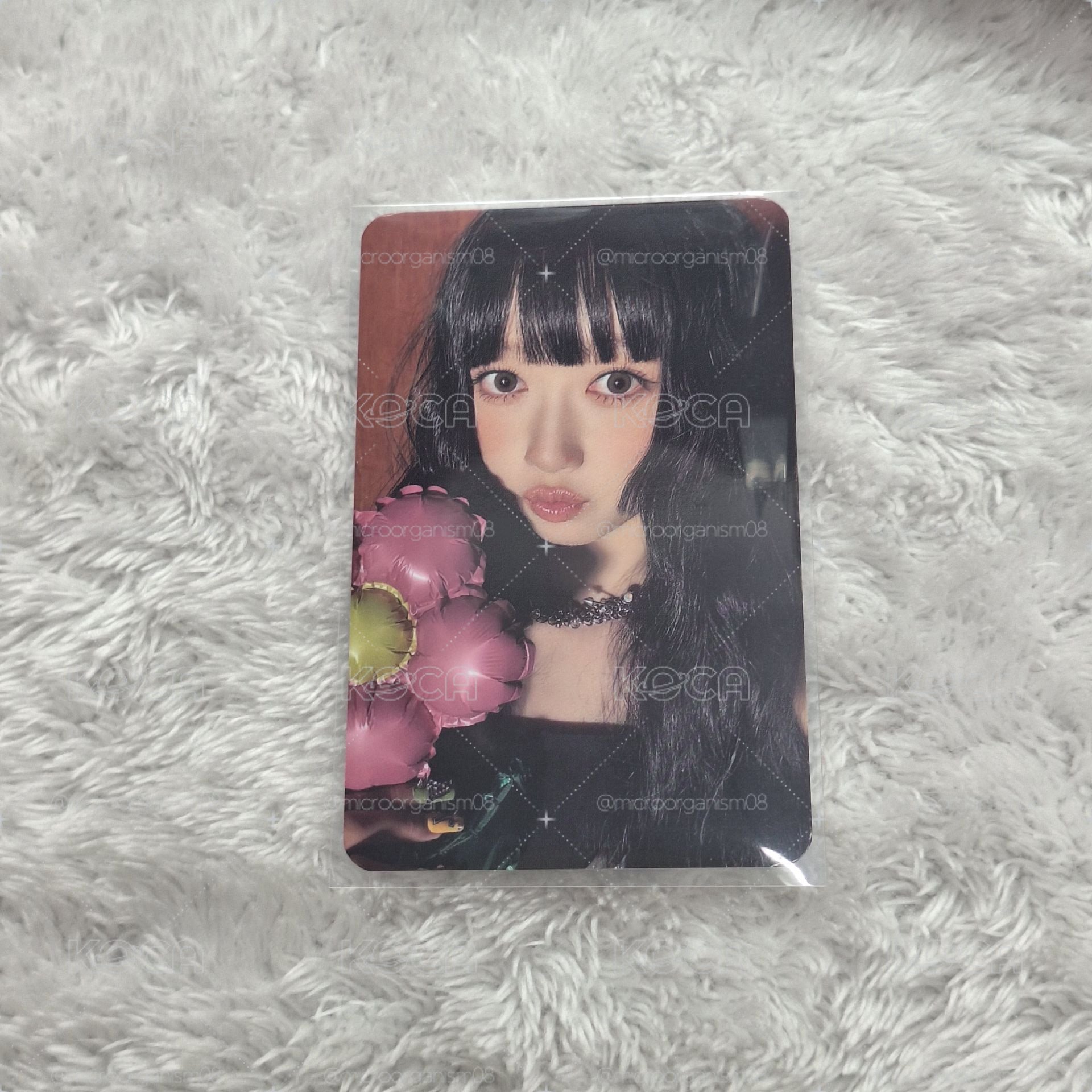 阿奇🫐ms