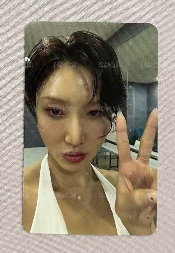 莎單售