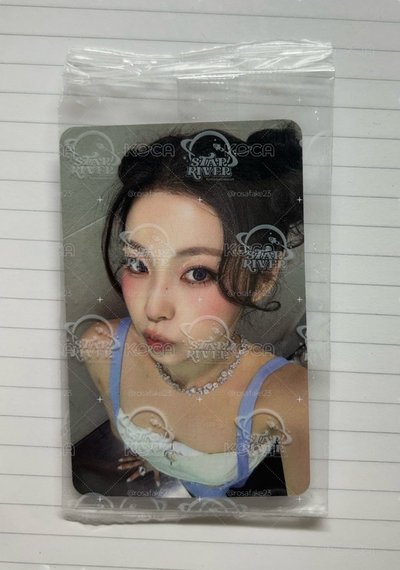 NMIXX 貓貓領養卡