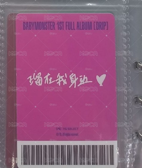 瑠在我身邊 100起標 五元一標