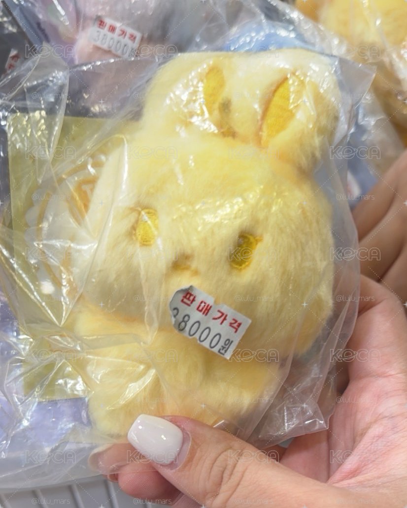 韓國購回 黃金兔 現貨