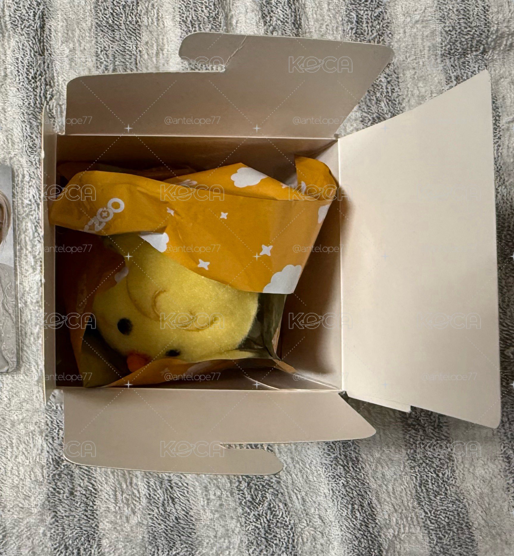 菲奶嘴娃