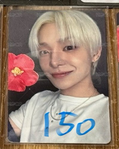 🐶8千滿額