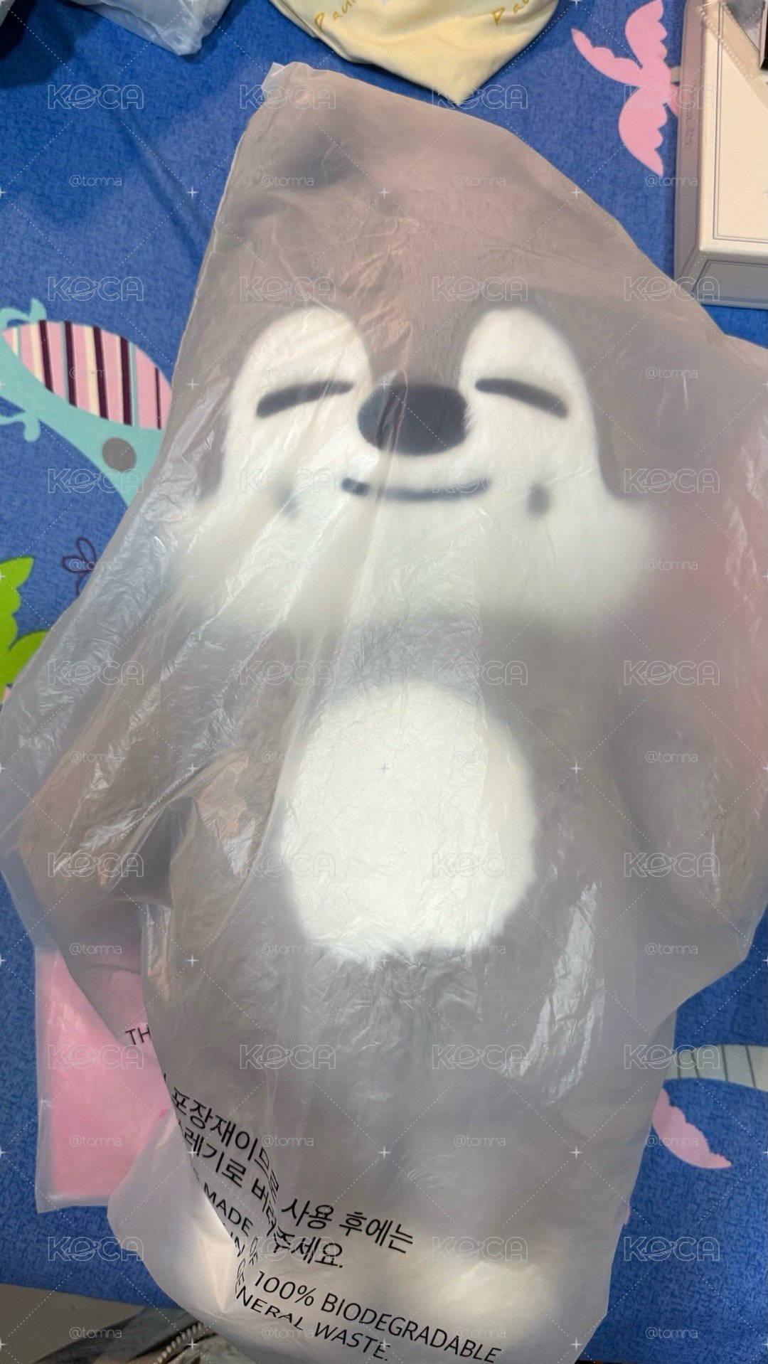 5th 燦狼泰迪娃