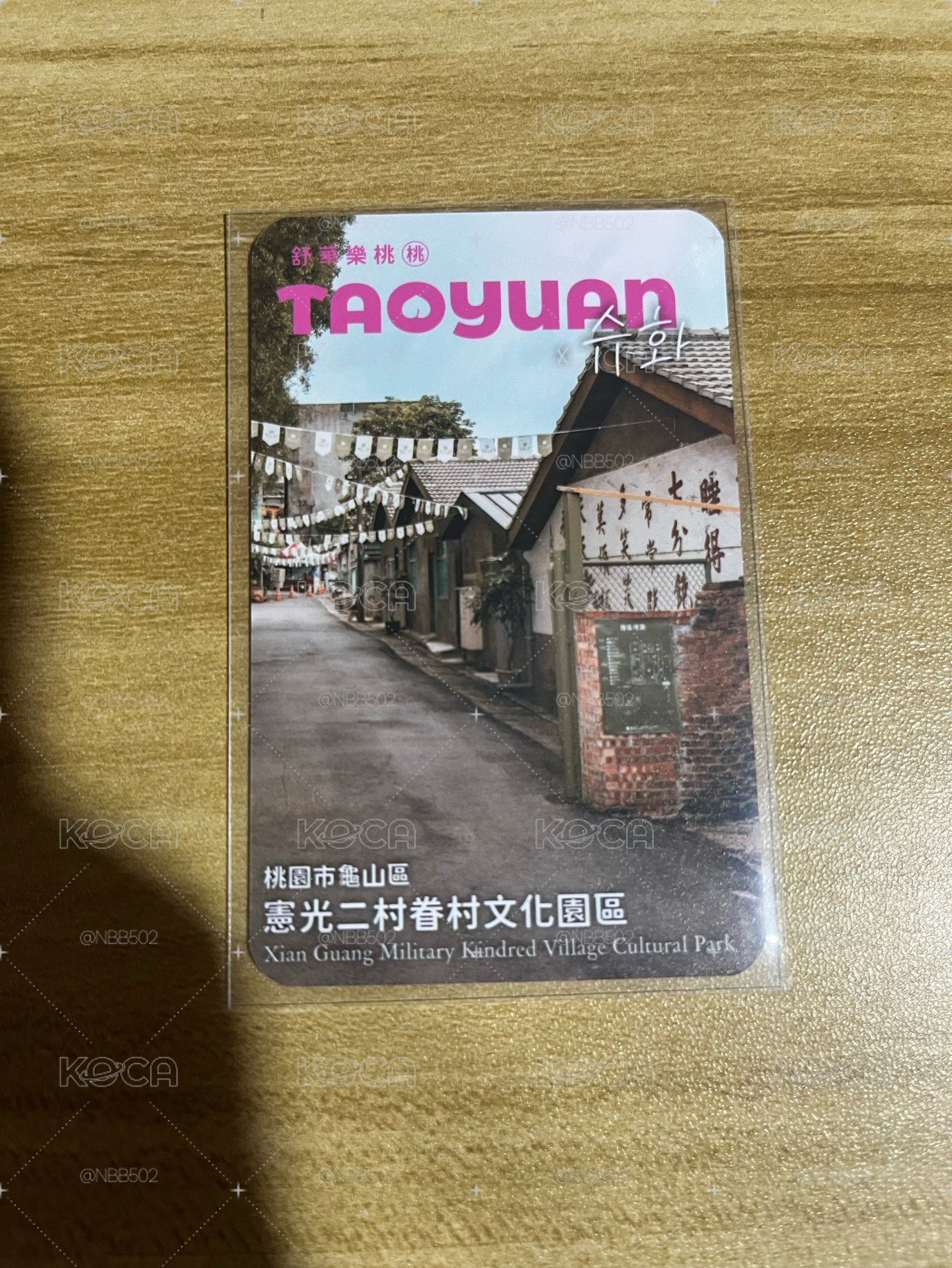 🏆 舒華 桃園大使 蘭室/眷村文化園區