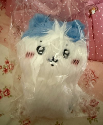 長毛小八 