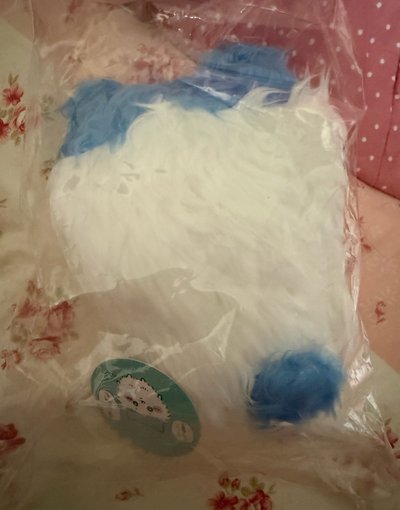 長毛小八 