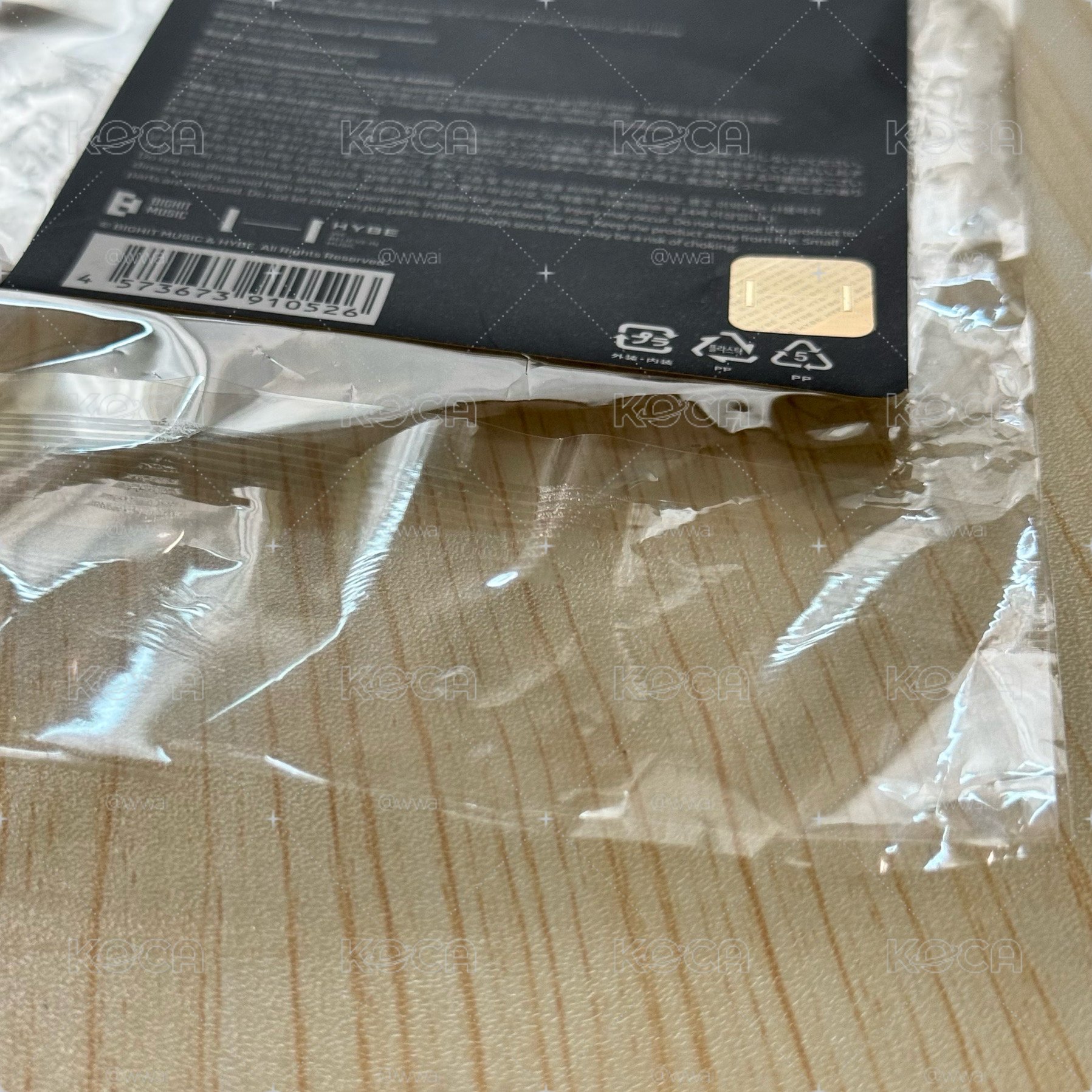 ꒰ 泰亨日巡大王扇 ꒱