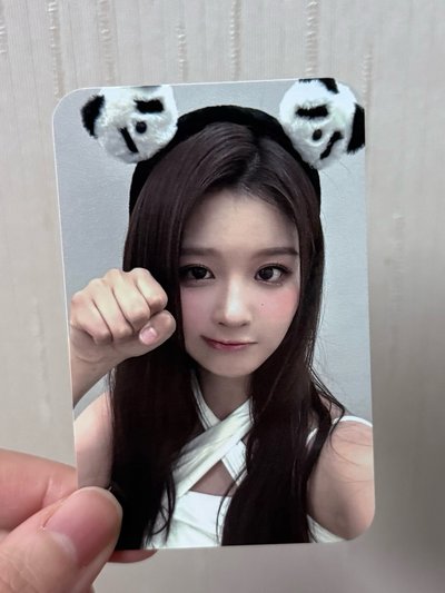 楠藝熊貓薛