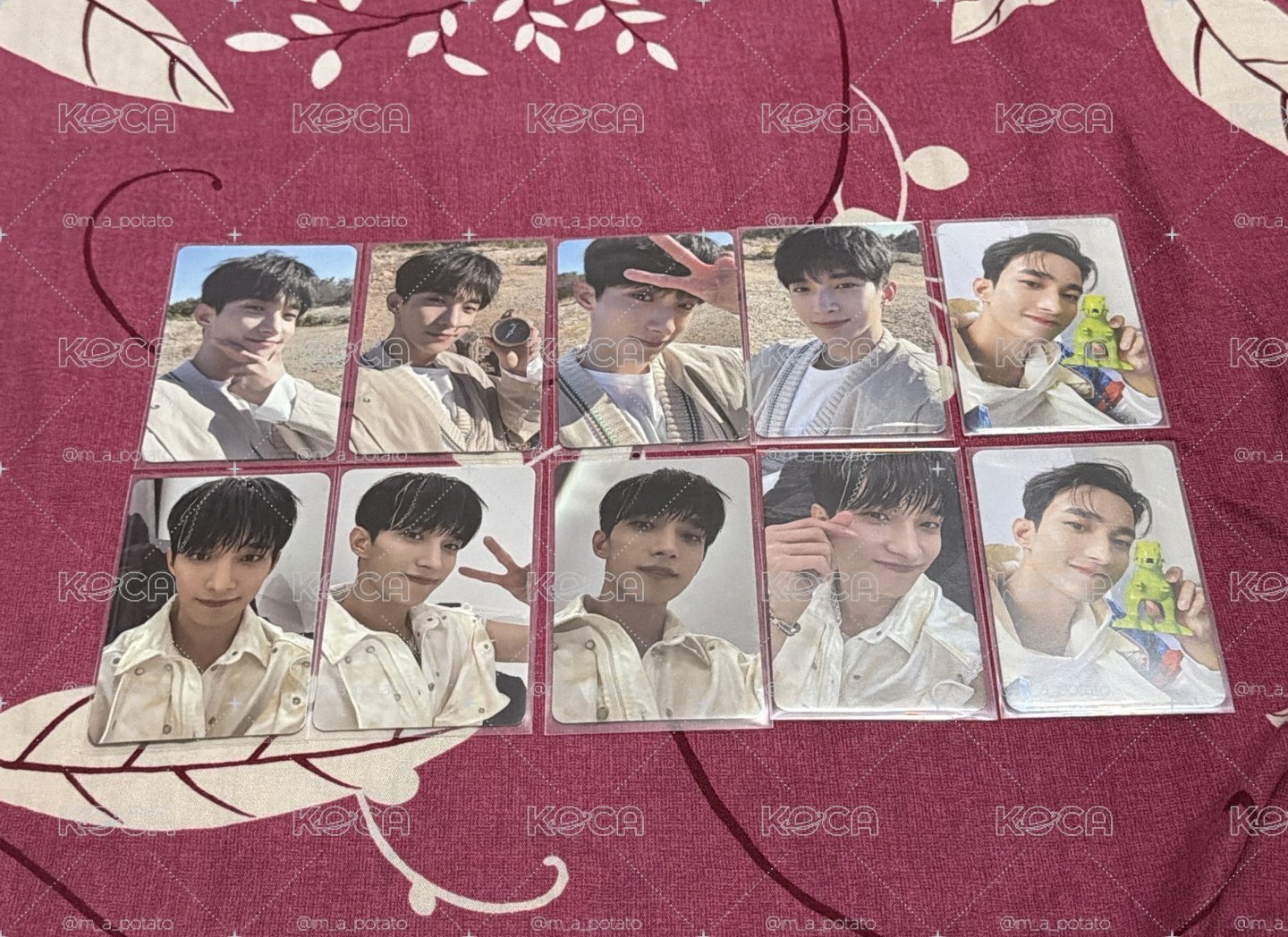 DK Face the sun 小盤
