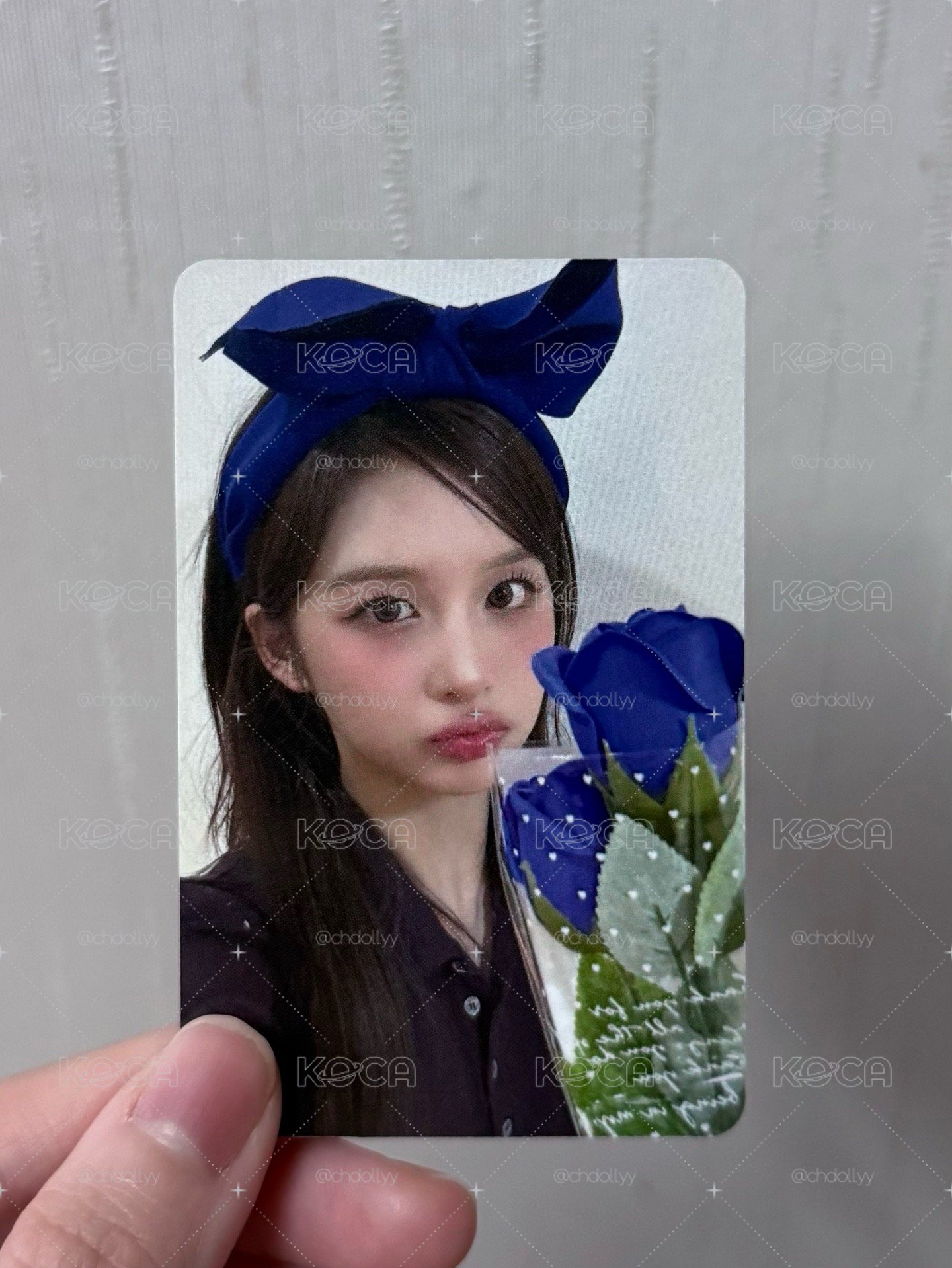 藍玫瑰薛
