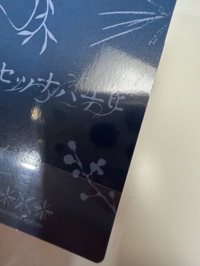 貓爪一套