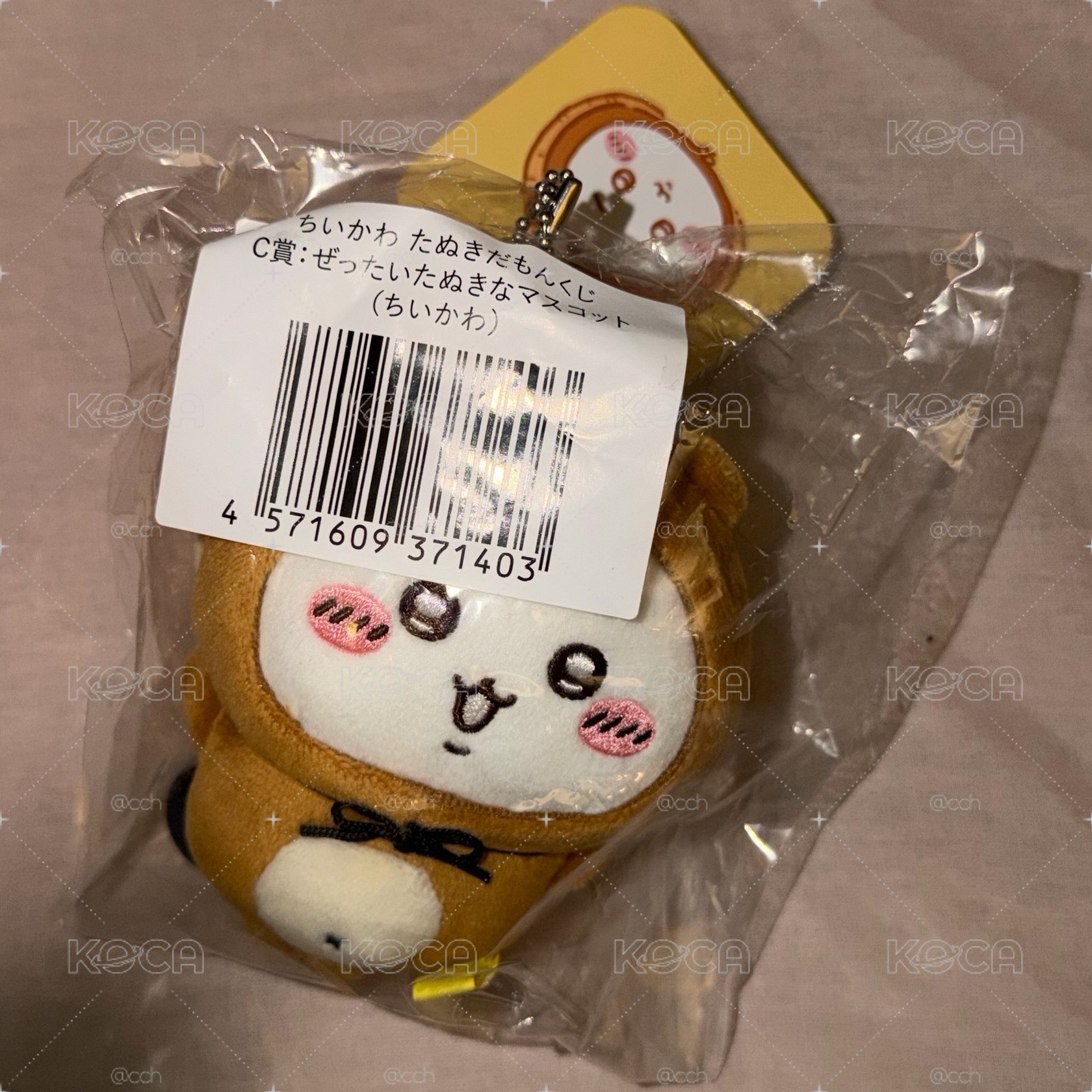 狸貓吉伊