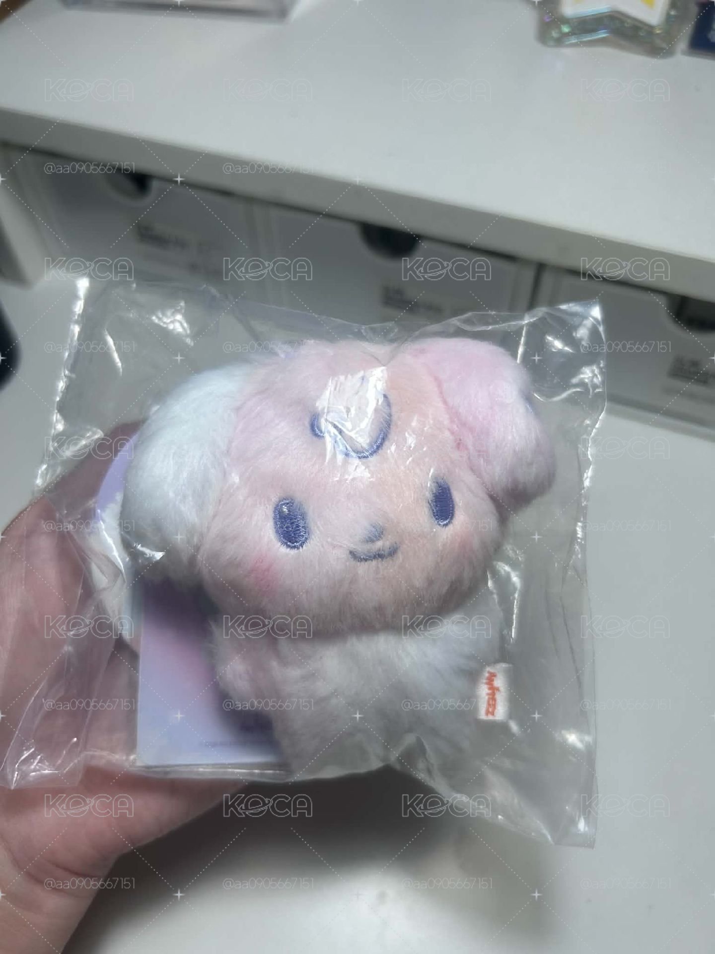 混色小狗