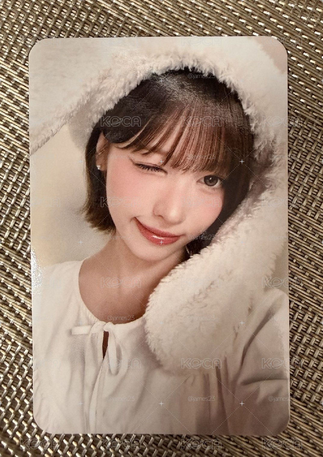 Rescene Hollys 代言卡 May