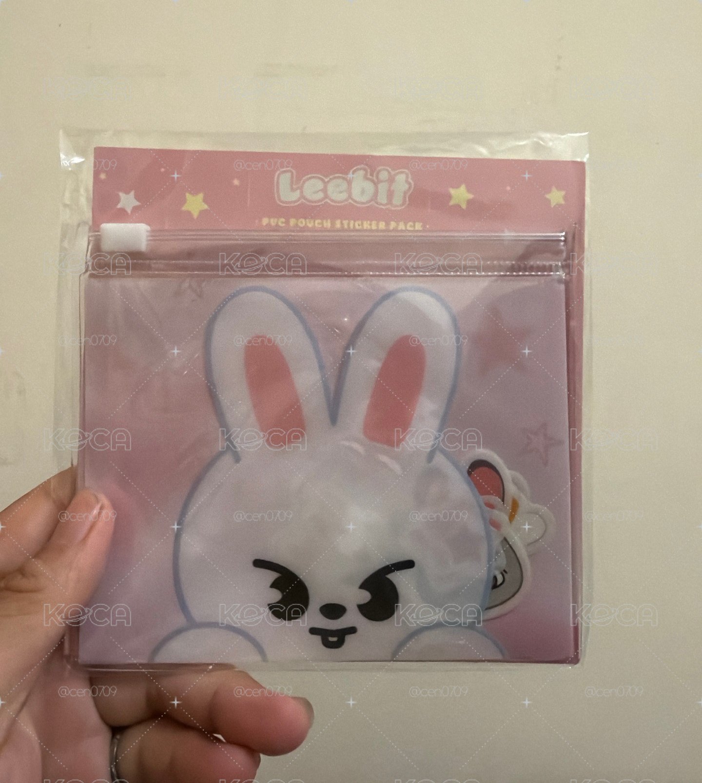 SKZOOx動物方城市2 旻貼紙