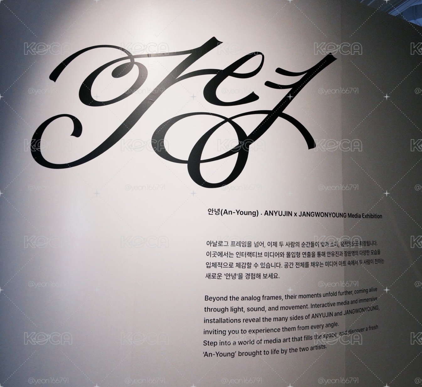 An-Young 展 MD週邊
