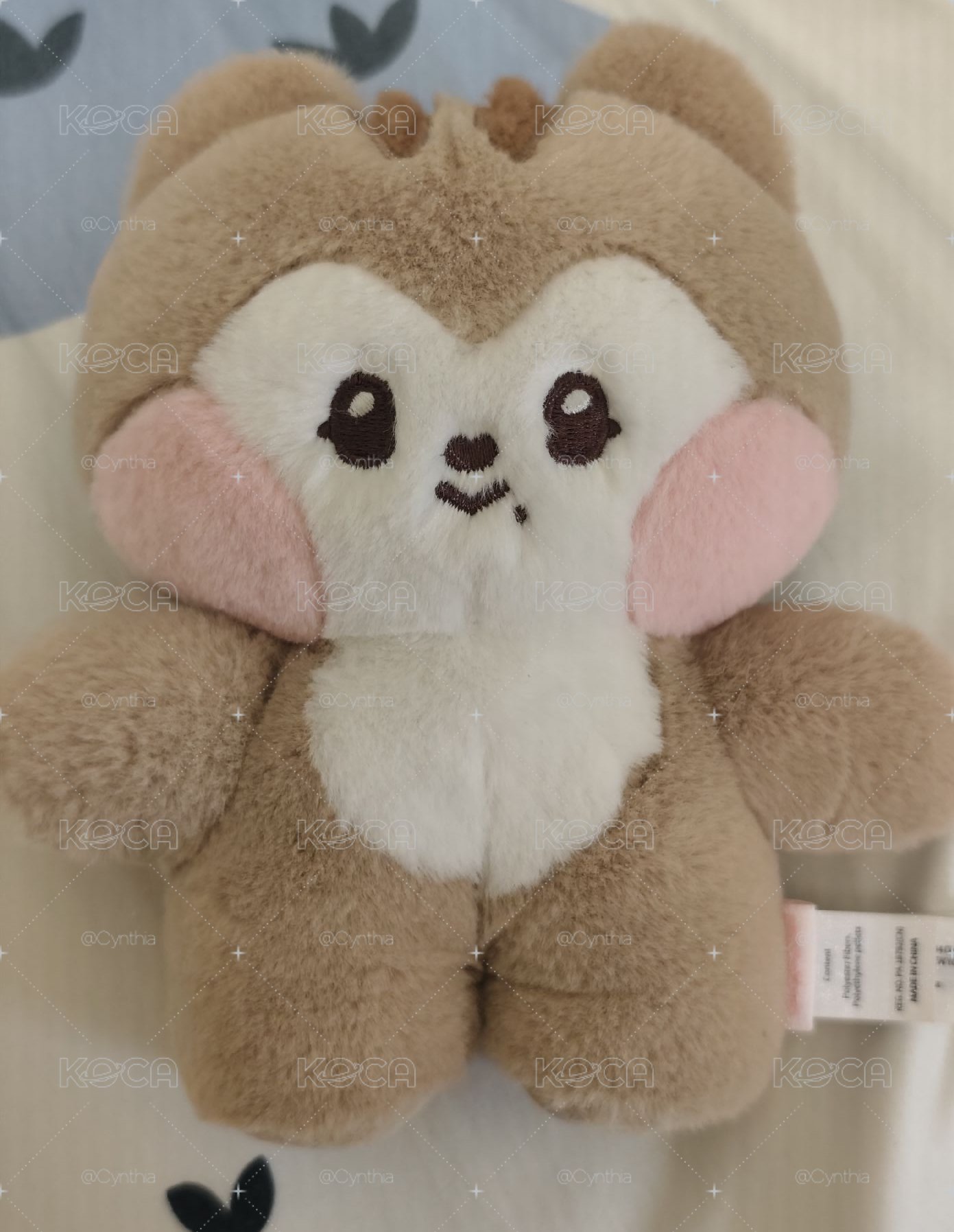 秋中娃