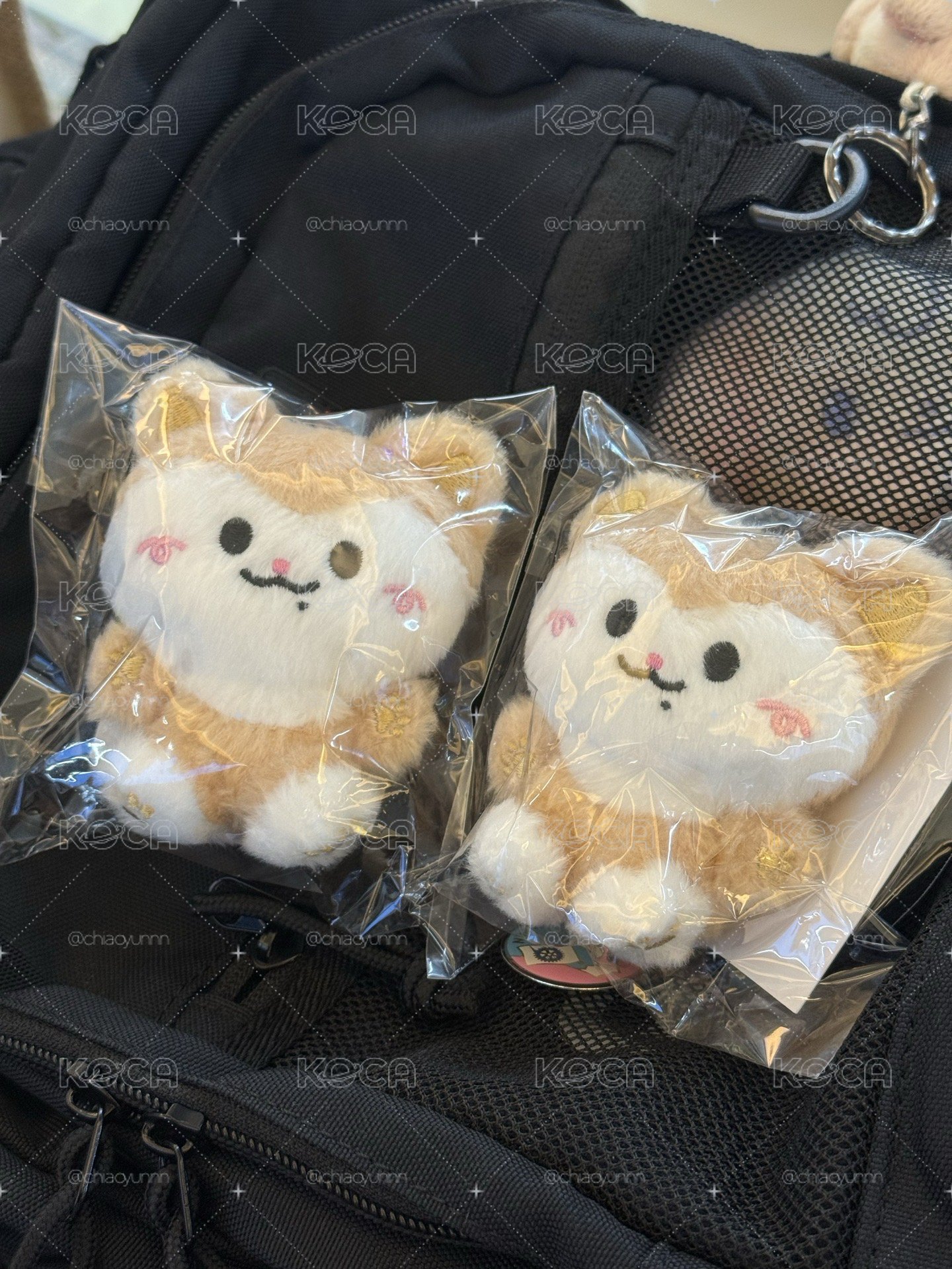 領坐娃+滿額卡
