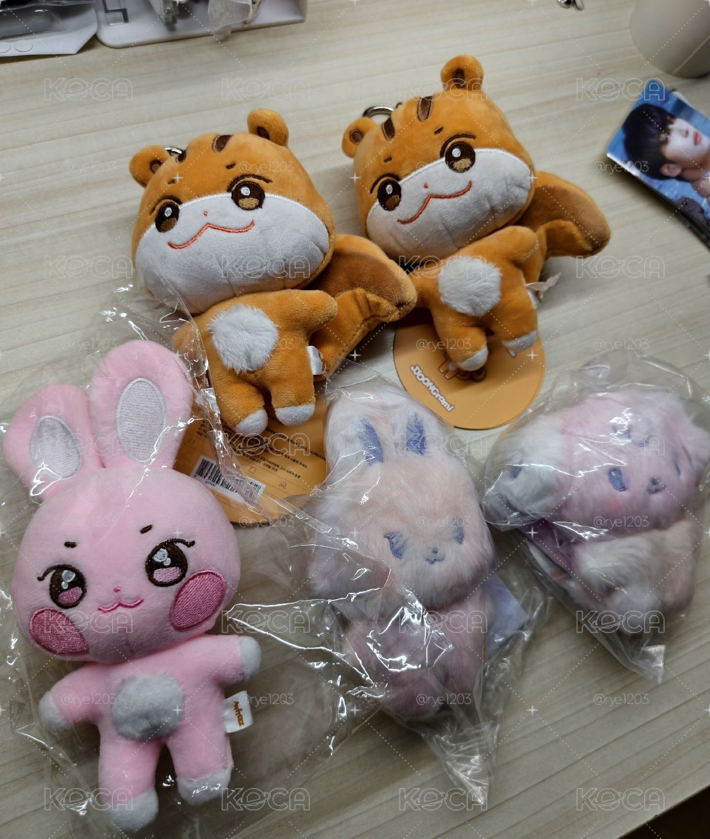 拉米和他的小兔子&狗