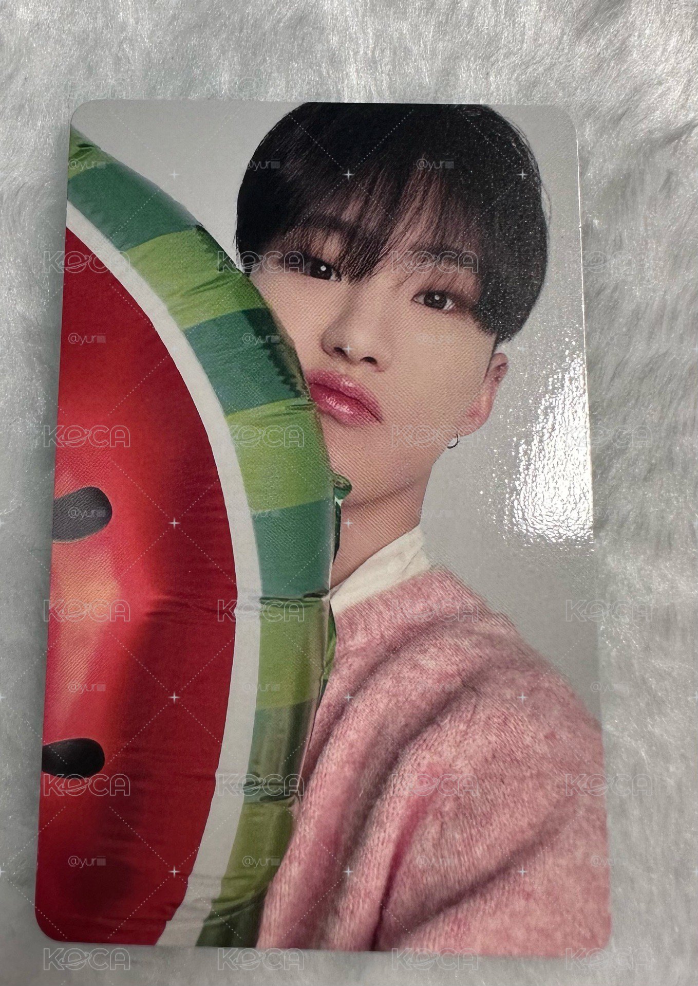 西瓜hoshi