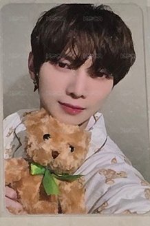 🐻尚