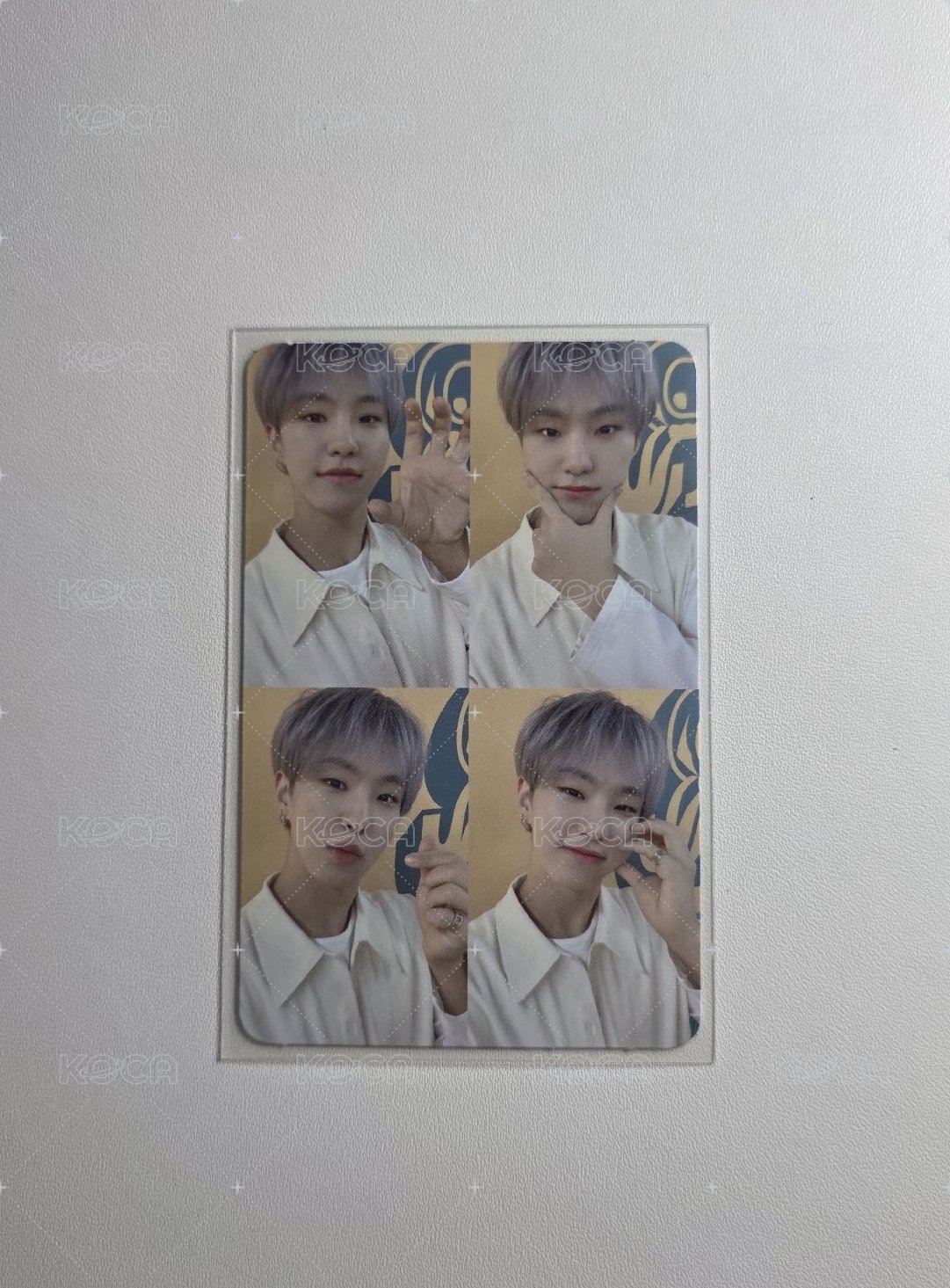 Hoshi