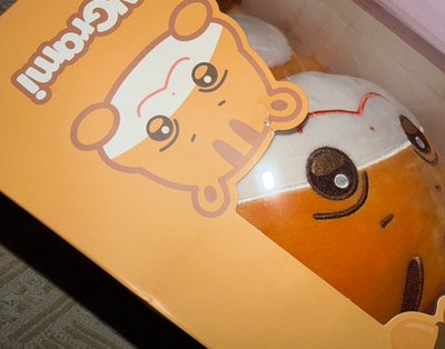 ANITEEZ弘中、傘大娃