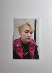 Hoshi（有損）