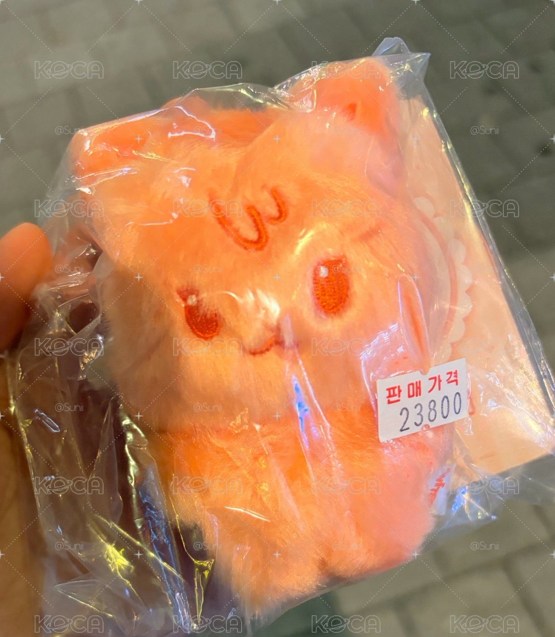 橘喵傘（全新/含卡）