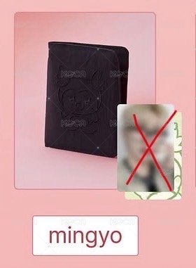 護照套琦