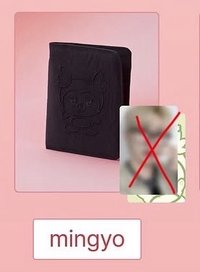 護照套琦