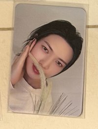 狗尾草