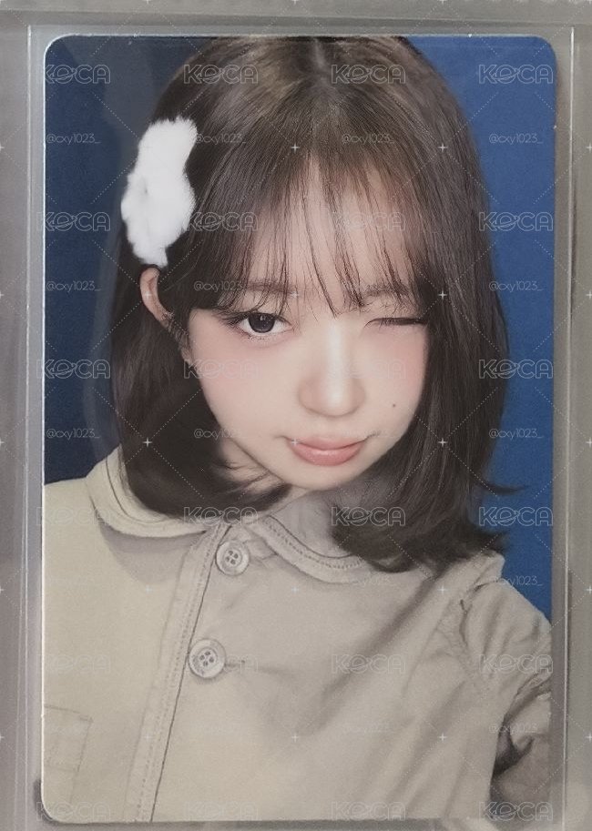 wink怜
