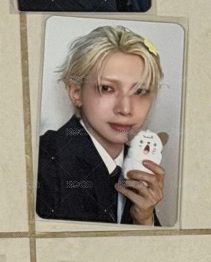 尖叫貓
