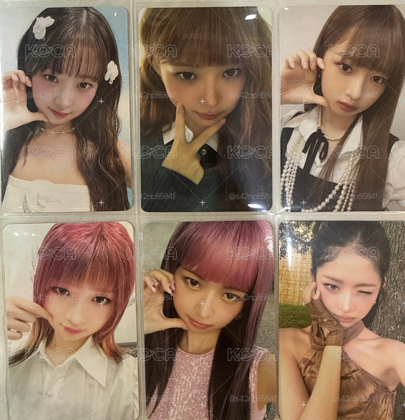 怜小盤