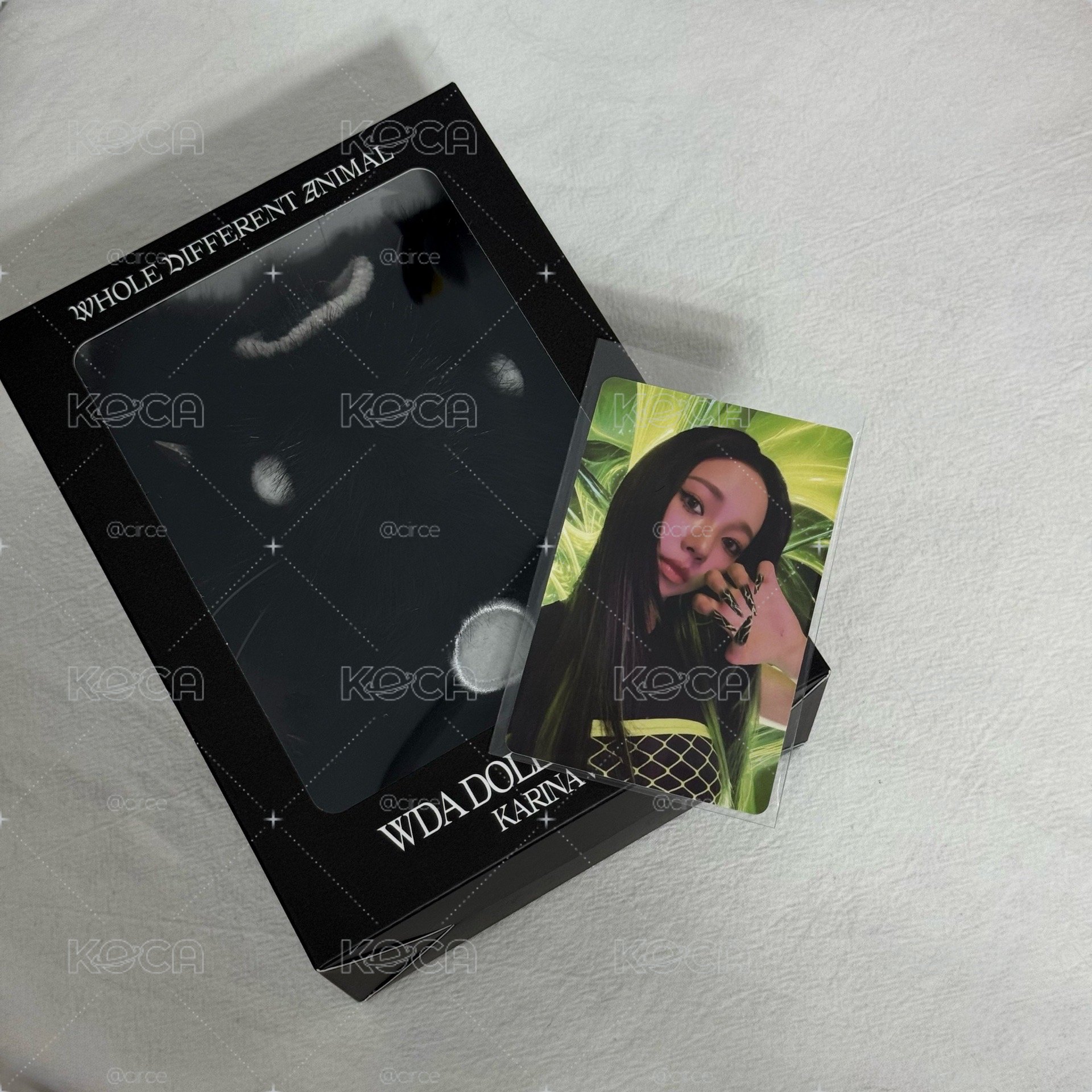 現貨 WDA柚娃+滿額卡