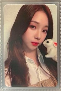 美網兔柚