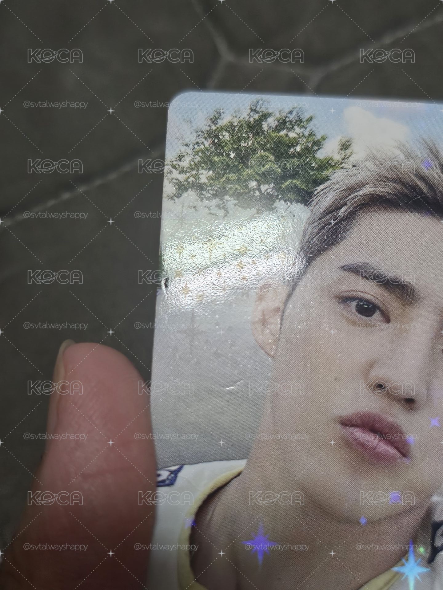 cxm wvsjp特典卡 S.coups 