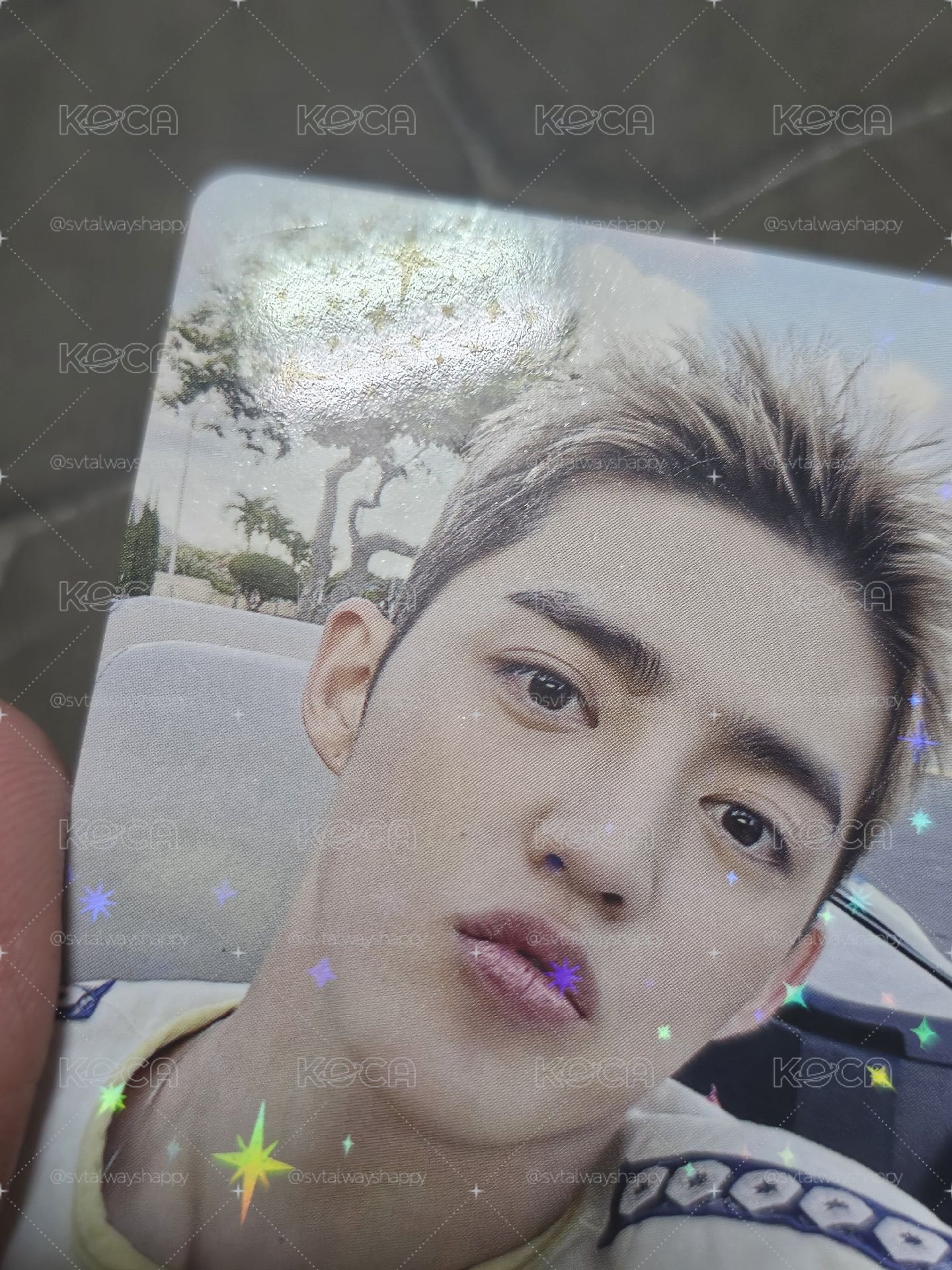 cxm wvsjp特典卡 S.coups 