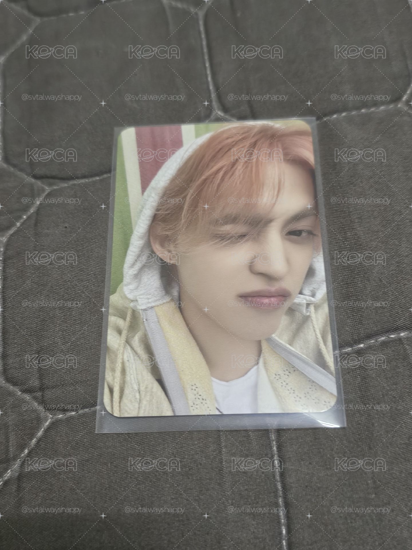 迷12 yes24 特典卡 S.coups 