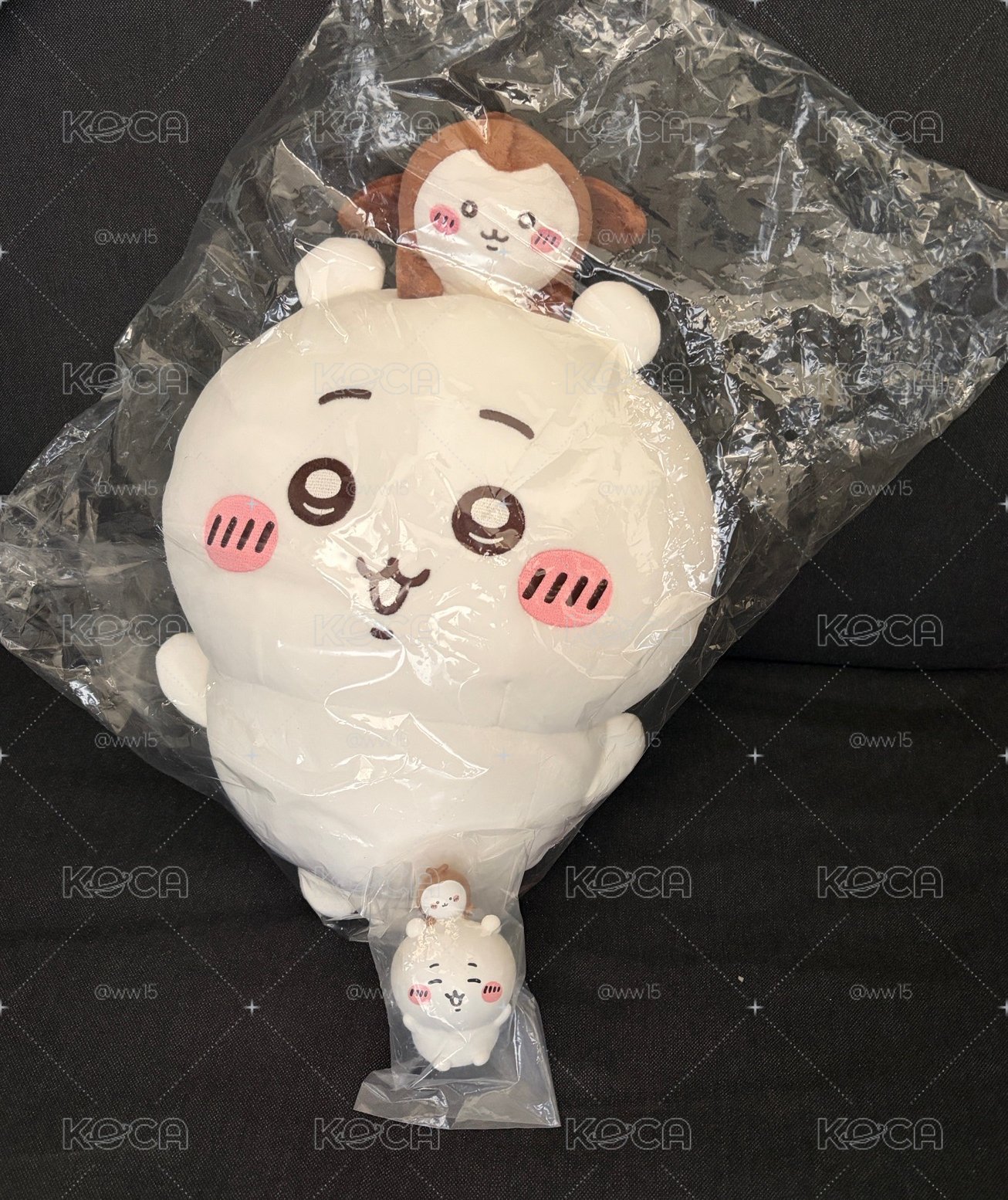 吉伊與小甲蟲兩件組