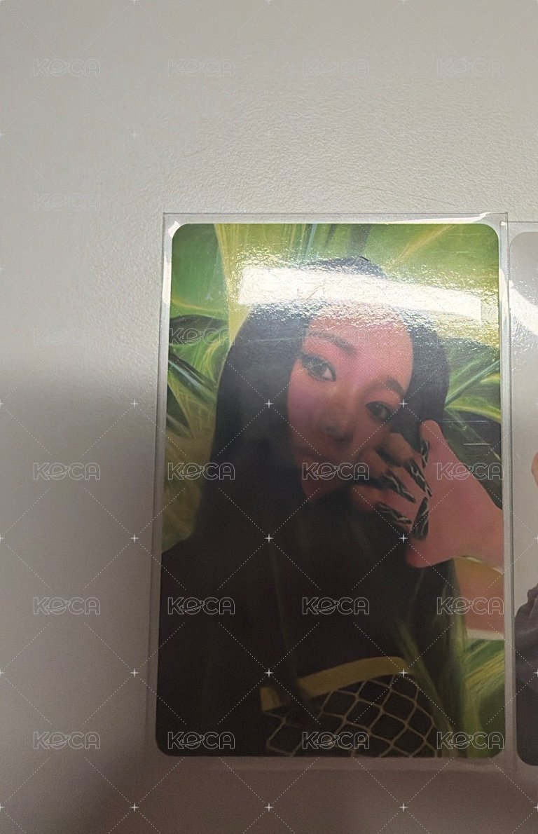 柚