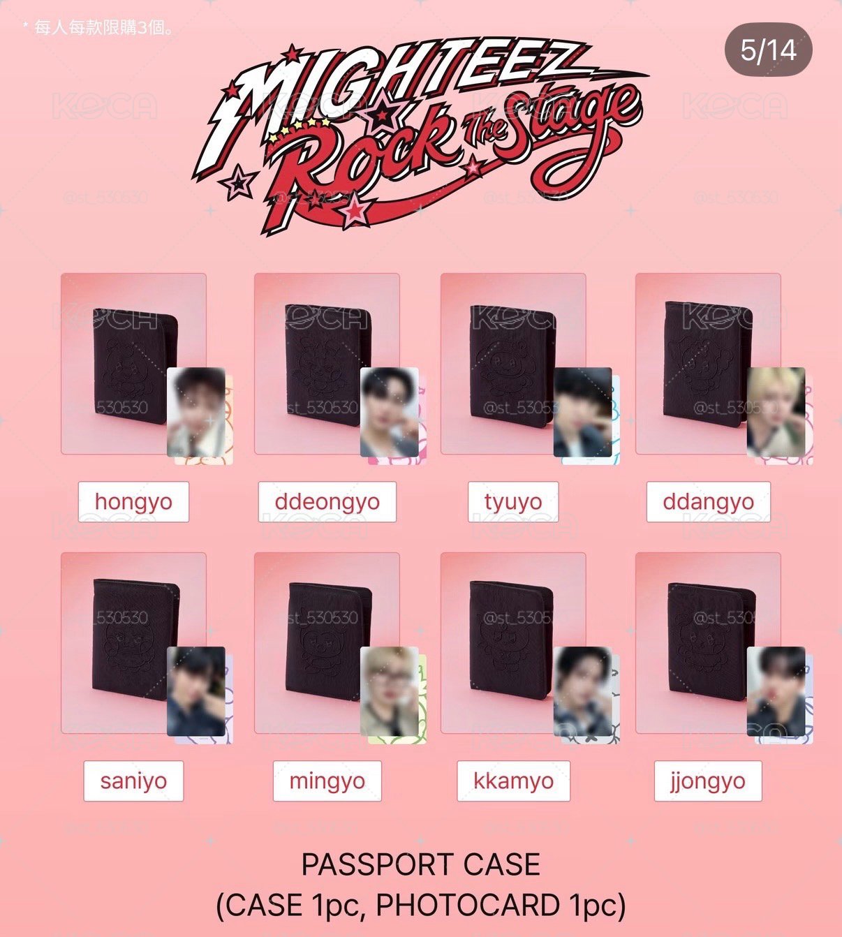MIGHTEEZ 護照套 PASSPORT CASE