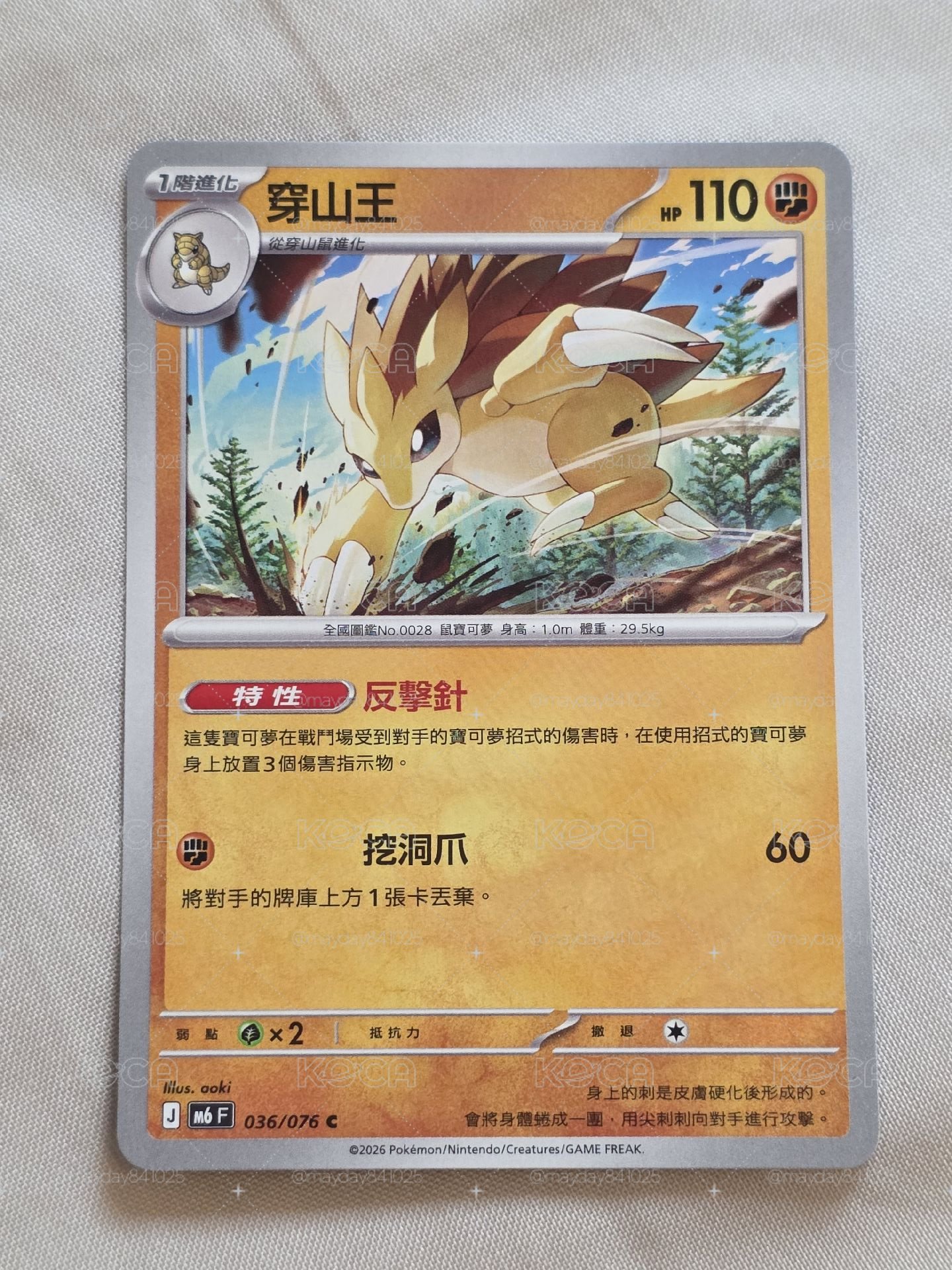穿山王