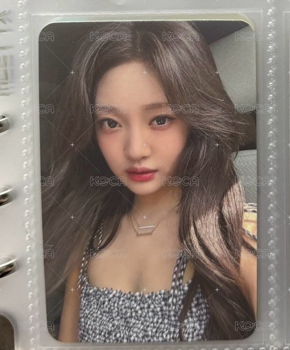 美🐱