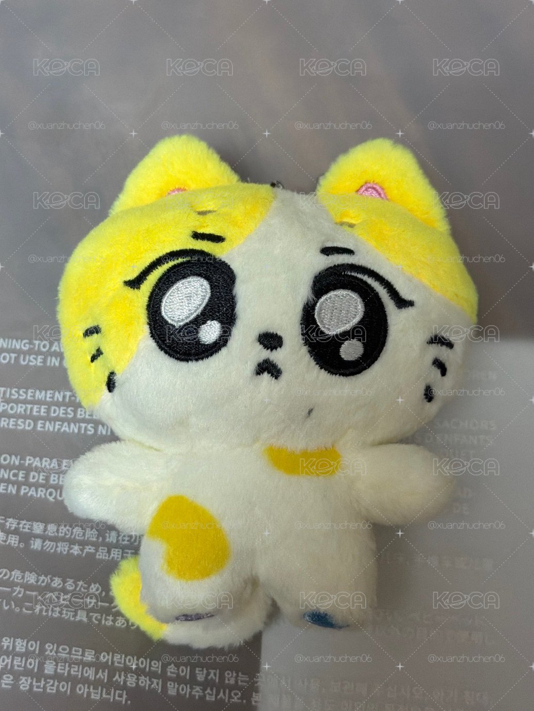 禎元貓 現貨秒出