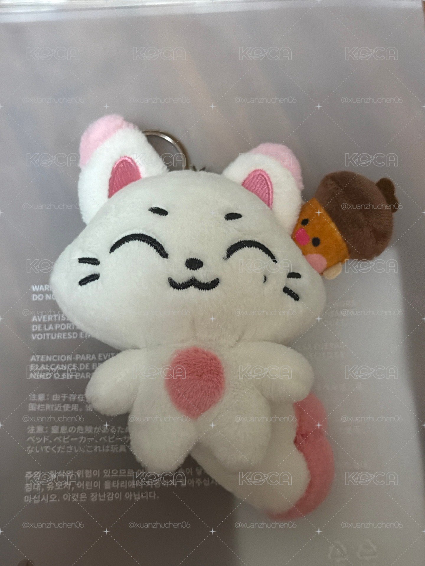 善禹娃 現貨秒出 送滿額卡