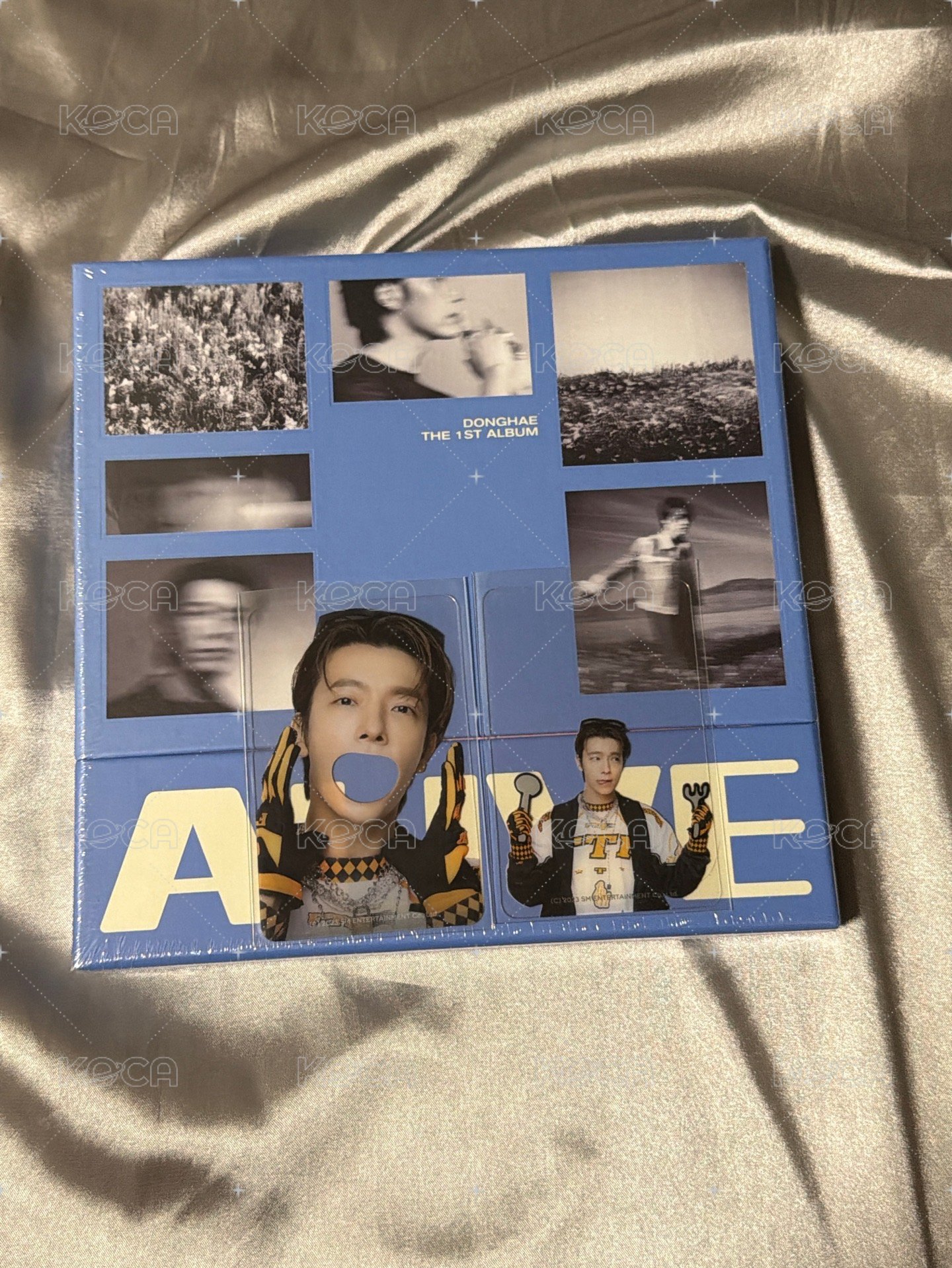 alive未拆專*1+東海透卡兩款各一張