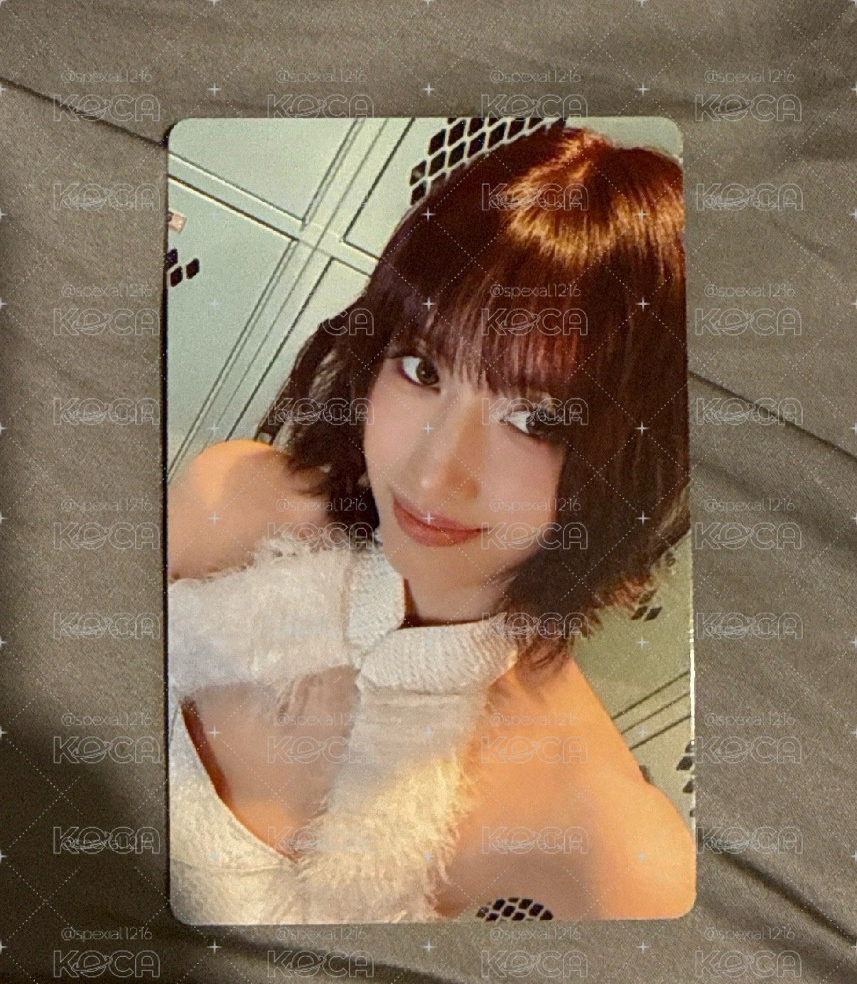桃 演唱會dvd小卡